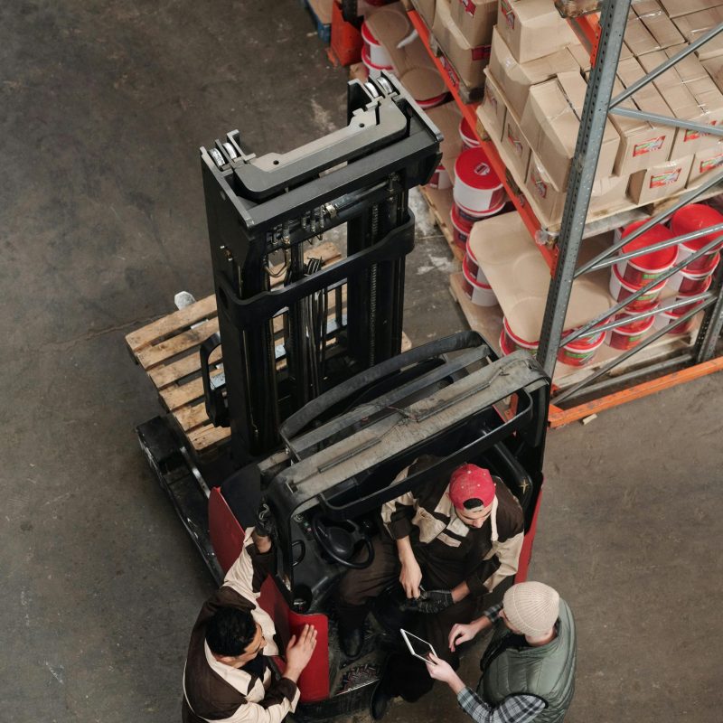 pexels-tiger-lily-4483558